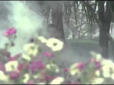 Kya Nazaare Kya Sitaare Lyrics Lyrics