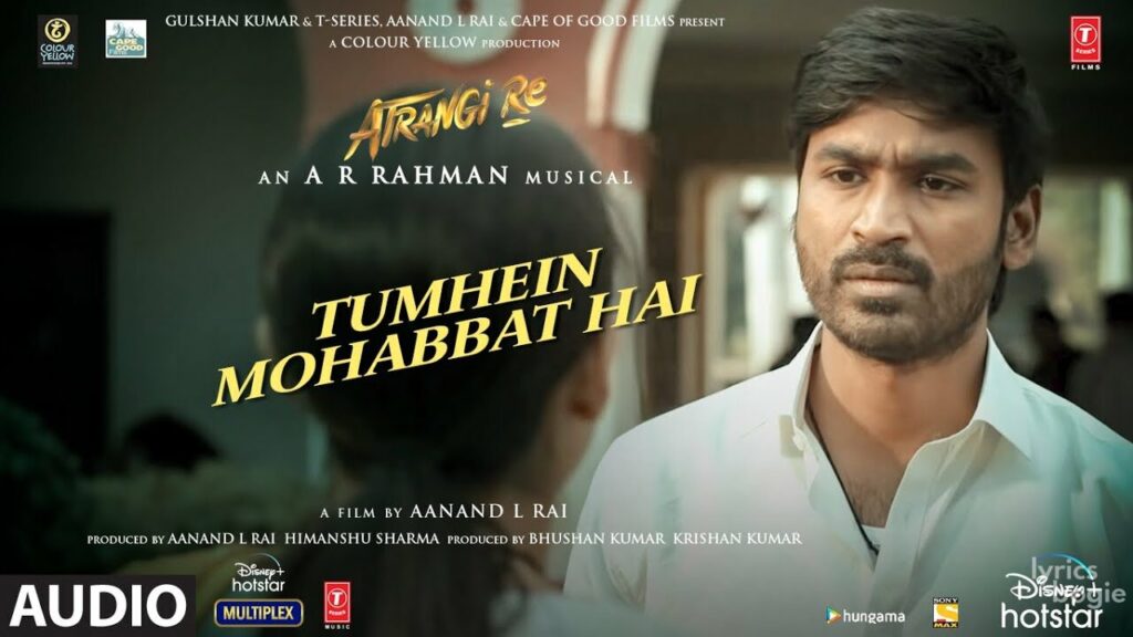 तुम्हें मोहब्बत है Tumhein Mohabbat Hai Lyrics Lyrics