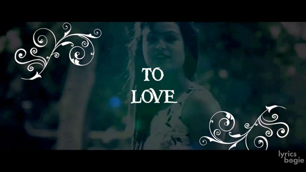 True Love (Title) Lyrics Lyrics