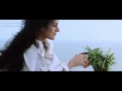 रोया रे Roya Re Lyrics Lyrics