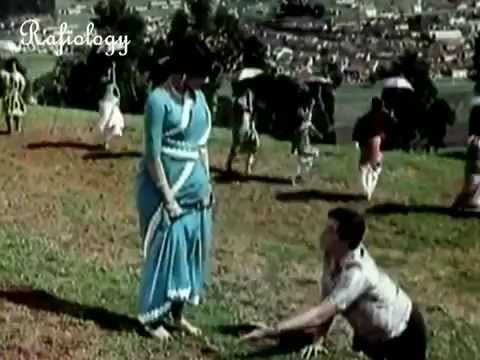 Janu Kya Mera Dil Lyrics Lyrics
