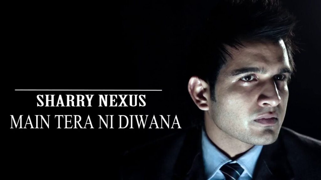 Main Tera Ni Diwana (Title) Lyrics Lyrics