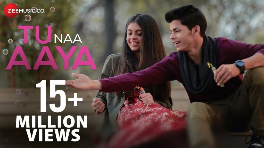 Tu Naa Aaya (Title) Lyrics Lyrics