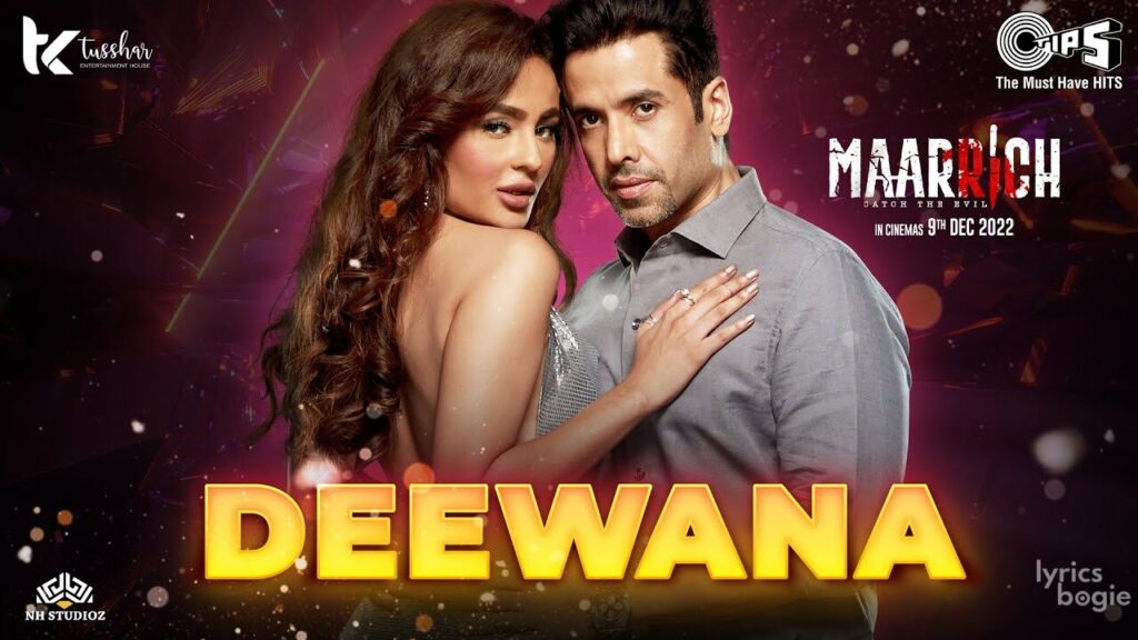 दीवाना Deewana Lyrics Lyrics