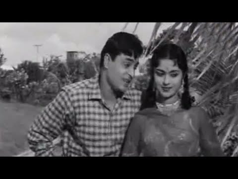 Teri Pyari Pyari Surat Lyrics Lyrics