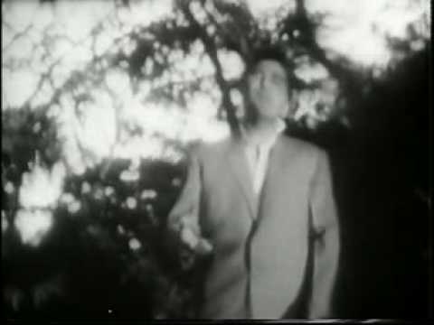 Tum Mujhe Bhool Bhi Lyrics Lyrics