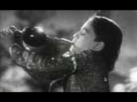 Dur Desh Se Koyi Sapera Aaya Lyrics Lyrics