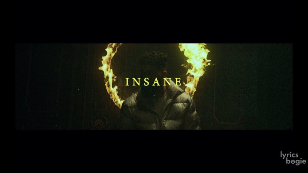 Insane Lyrics Lyrics