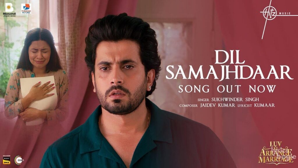 दिल समझदार Dil Samajhdaar Lyrics Lyrics