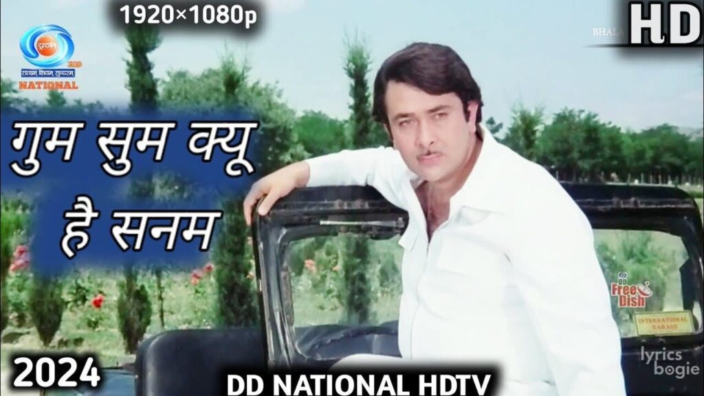 Gum Sum Kyon Hai Sanam Lyrics Lyrics