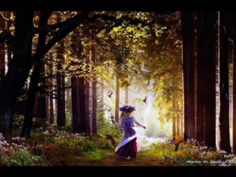 Sajna Tera Bina Lyrics Lyrics