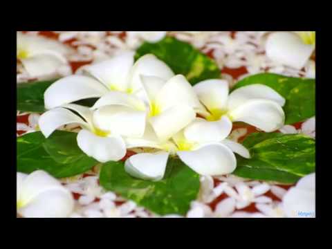 Dhuan Sa Utha Lyrics Lyrics